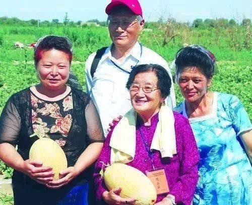 贝教授吃瓜,一场别开生面的吃瓜盛宴